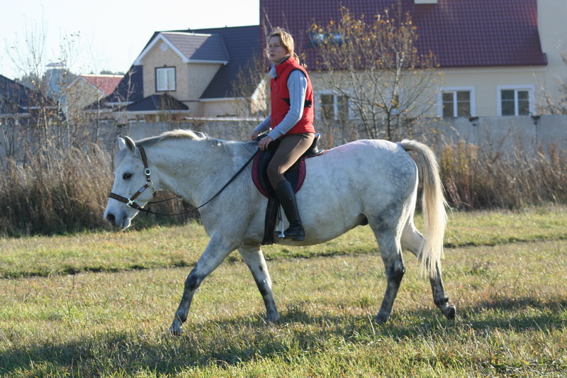 IMG_1230.jpg1.jpg"%20height="533"%20width="800